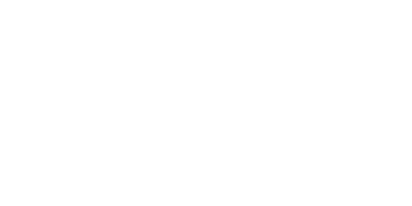 Fanzone Pro